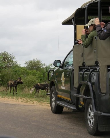 Kruger-national-Park-day-drive