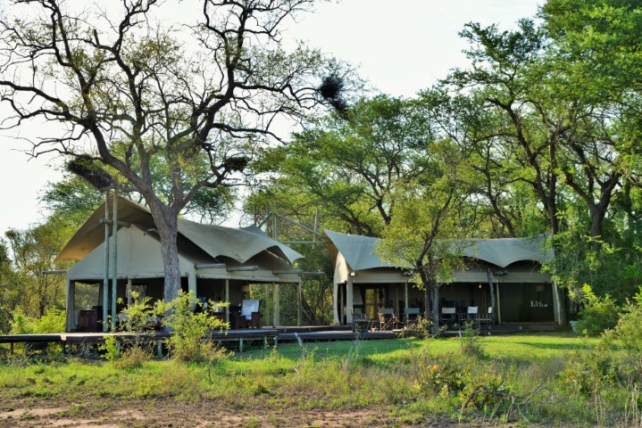 Kruger-Walking-safari