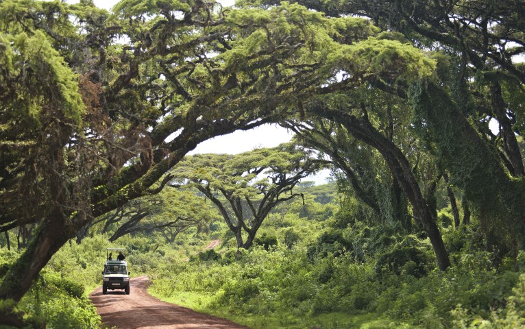 Ngorongoro road