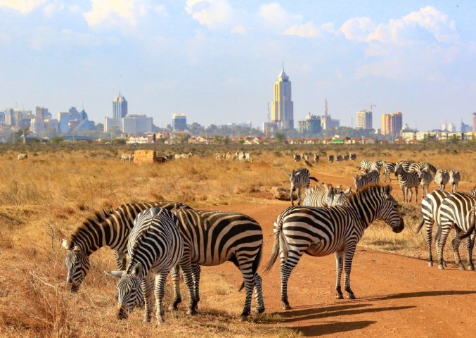 Nairobi outskirts