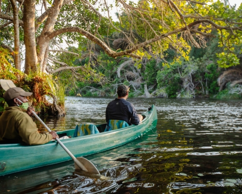 Two people canoeing on a tranquil river surrounded by lush greenery at Kosi Forest Lodge. The canoes glide effortlessly through the calm water, with trees and vegetation reflecting on the surface. Experience the serenity and natural beauty of Kosi Forest Lodge through canoeing, immersing yourself in the peaceful ambiance of the surrounding ecosystem. #KosiForestLodge #CanoeingExperience #TranquilNature"