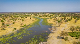 Image illustrating the itinerary of a flying safari experience in Botswana, featuring top locations like the Okavango Delta, Moremi Game Reserve, and Savute. The graphic captures the essence of discovering diverse wildlife and exploring remote, picturesque landscapes from a unique aerial perspective