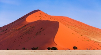An expansive desert landscape under a bright blue sky in Namibia, featuring towering orange-red sand dunes in Sossusvlei and diverse wildlife in the background, representing the unique and breathtaking natural beauty of the country.