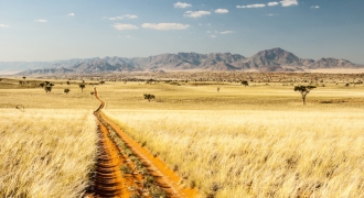A scenic view of an open road stretching into the distance in Namibia, with a personal vehicle parked by the roadside. The vast plains, towering sand dunes, and diverse wildlife in the distance encapsulate the freedom and adventure of a self-drive journey through this captivating landscape